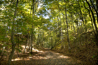 Virginia Creeper Trail Oct 2013